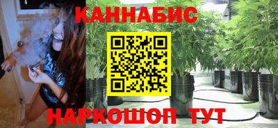 МДПВ Новозыбков