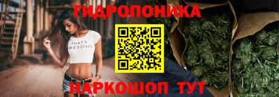 МДПВ Новозыбков