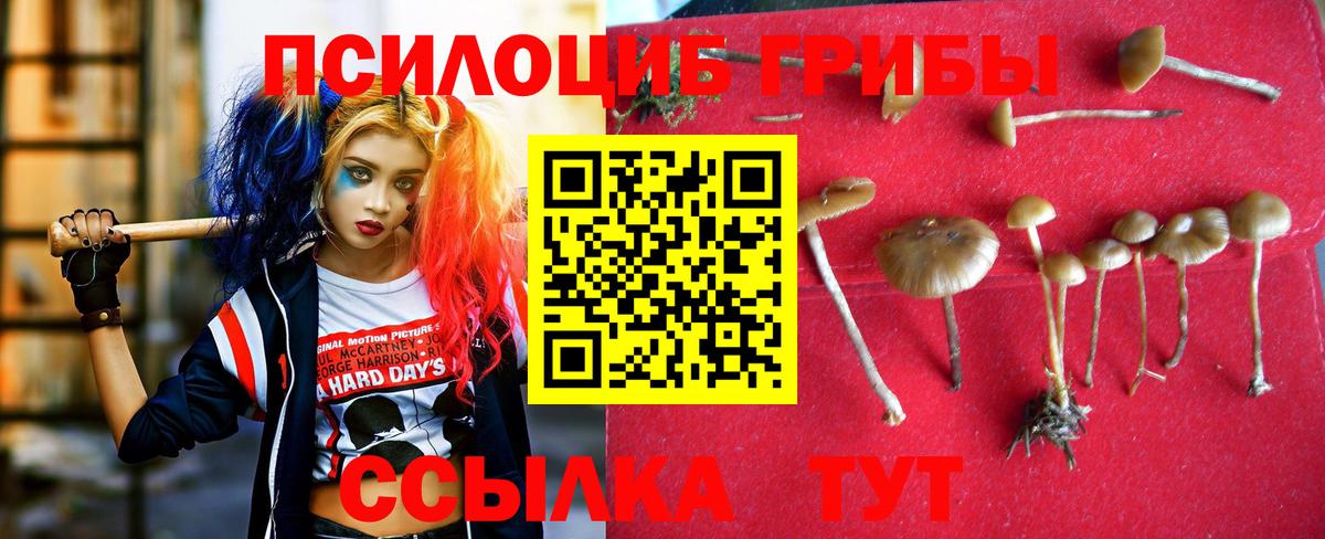 Фролово  Псилоцибиновые грибы Magic Shrooms  Вход с VPN 