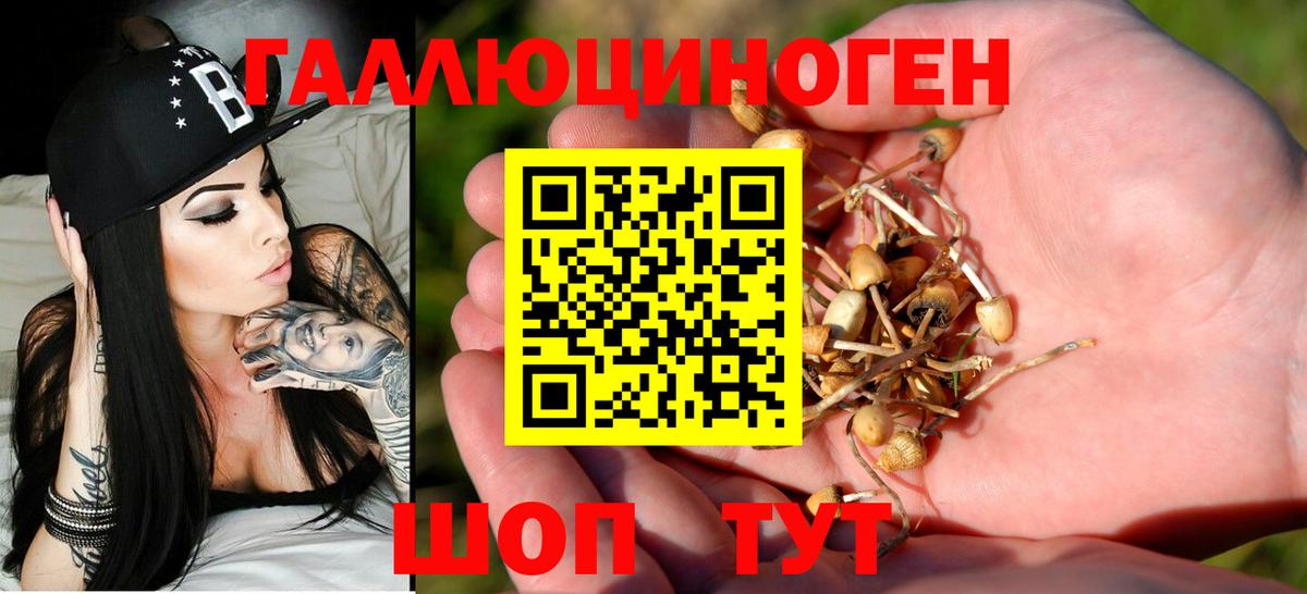 Галлюциногенные грибы Psilocybine cubensis Фролово